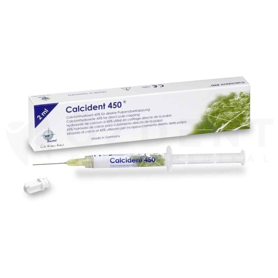 Calcident 450 Kalsiyum Hidroksit Patı 2x2 ml